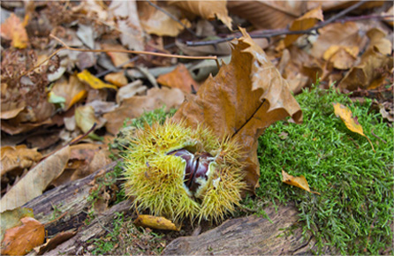 卡密商城特价的在线DDOS平台攻击