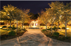 CC在线压力测试